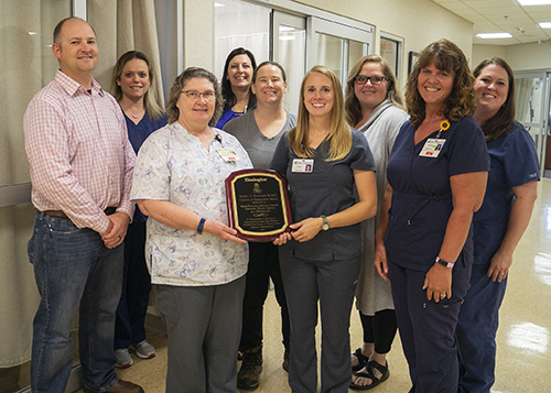 2018 Center of Excellence